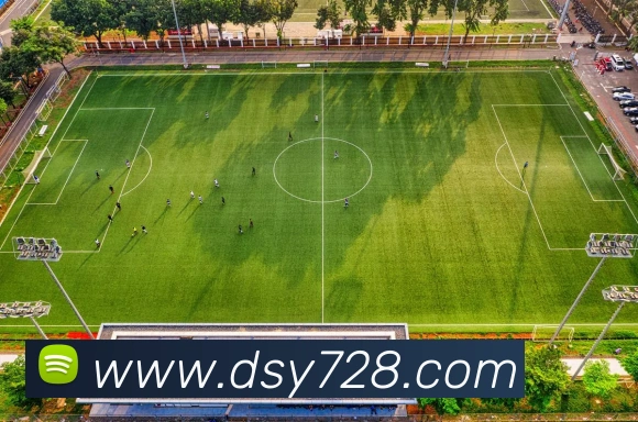 大三元官网平台登录品牌故事