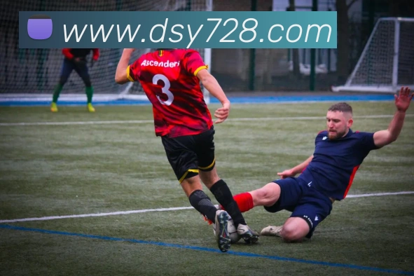 多媒体互动体验